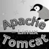 Maitrisez La Configuration Apache Tomcat Sous Linux