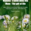 Mamma - Il dono della vita/ Mum- The gift of life