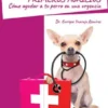 Manual de primeros auxilios: cómo ayudar a tu perro en una urgencia
