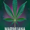 Marihuana in Premium-Qualität: Das umfassende Handbuch für Anbauer, von Anfängern bis zu Experten
