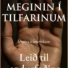 Meginin i tilfarinum