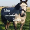 Mein zauberhafter Elefant