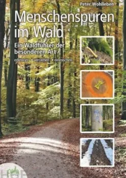 Menschenspuren im Wald