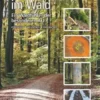 Menschenspuren im Wald