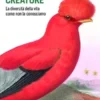 Meravigliose creature