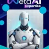 Meta AI Expertise