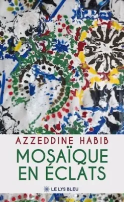 Mosaïque en éclats