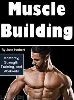 Muscle Building