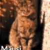 Mäusi