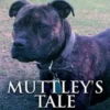 Muttley's Tale