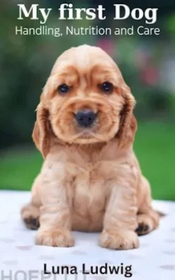 My first Dog