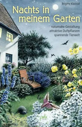 Nachts in meinem Garten