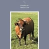 Natur in Dorf und Flur
