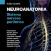 NEUROANATOMIA Sistema nervoso periferico