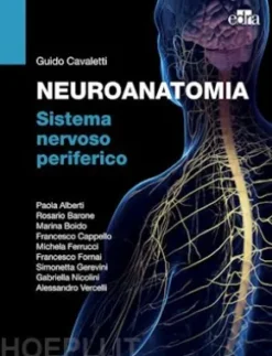 NEUROANATOMIA Sistema nervoso periferico