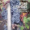Ni Finiu a Peri Vancu