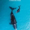 Noi siamo mare