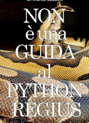 NON è una GUIDA al PYTHON REGIUS