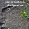 Nous ne marcherons plus dans vos pas