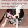 Ohrenkrankheiten beim Hund behandeln mit Homöopathie und Schüsslersalzen