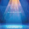 Olympus Voice