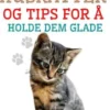 Oppdrett Huskatter og Tips for å Holde dem Glade