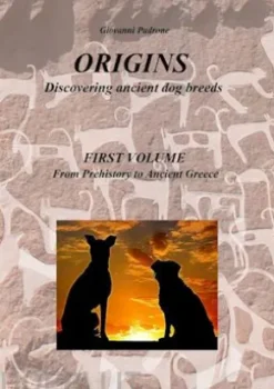 Origins