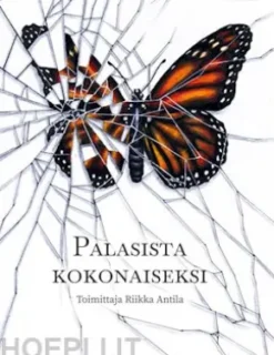 Palasista kokonaiseksi