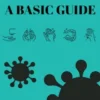 Pandemic Coronavirus A Basic Guide