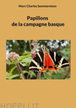 Papillons de la campagne basque