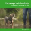 Pathways to Friendship