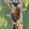 Periodical Cicadas - The Phenomenon Explained In Detail