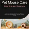 Pet Mouse Care: Setting Up a Happy Mouse Home