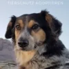 Pfotenspuren