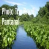 Photo Trip Brazil: Pantanal