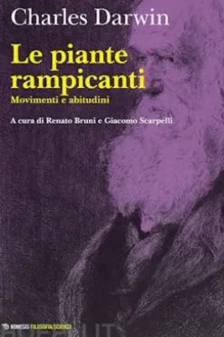 Piante rampicanti