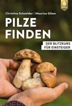 Pilze finden