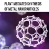 Plant Mediated Synthesis of Metal Nanoparticles