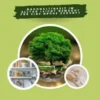 Plastikfrei leben: Nachhaltigkeit im Alltag leicht gemacht für eine grüne Zukunft (Zero Waste Lifestyle Guide mit praktischen Tipps und Tricks für ein plastikfreies Leben)