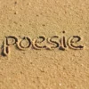 Poesie