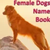 Popular Male and Female Dogs Name Book