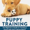Puppy Training