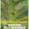 Quaderno delle meraviglie