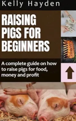 Raising pigs for beginners