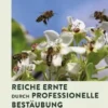 Reiche Ernte durch professionelle Bestäubung