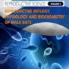 Reproductive Biology, Physiology and Biochemistry of Male Bats