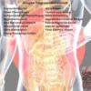Revolutionizing Healthcare: Exploring the Future of Medical and Dental Innovations