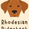Rhodesian Ridgeback