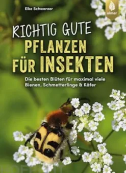 Richtig gute Pflanzen für Insekten