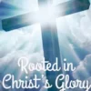 Rooted in Christ's Glory